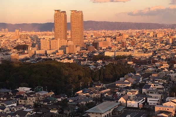 🌳 바다와 만남의 광장(우미 토 노 후레아이 히로바) 이미지 6